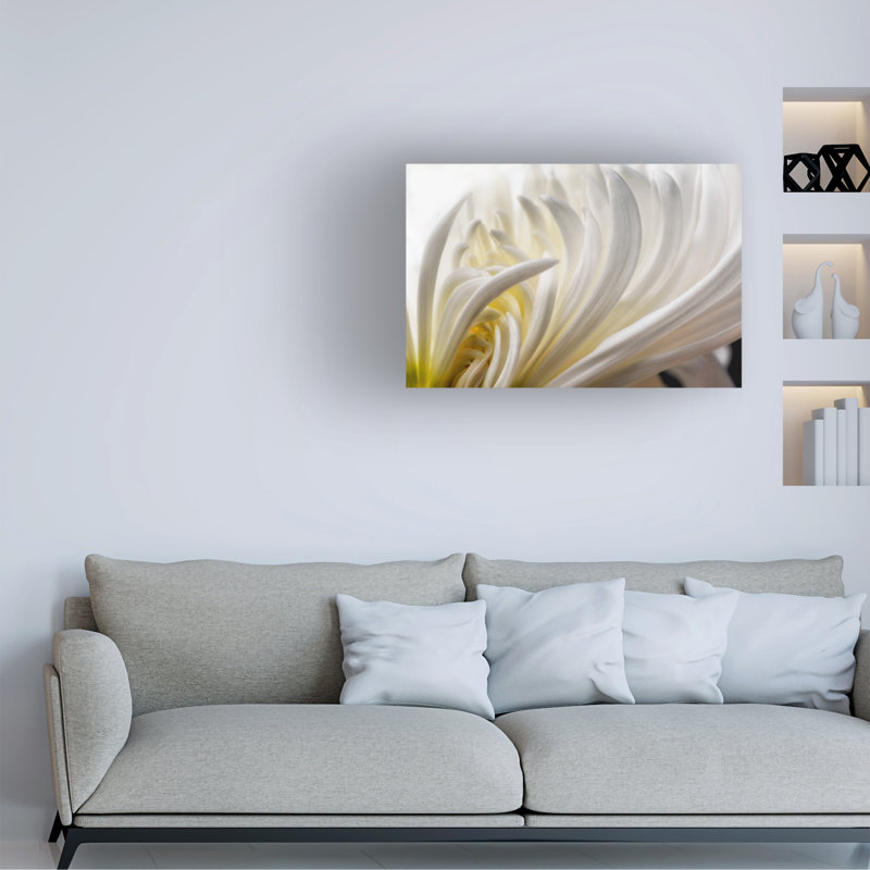 David Rothstein  Dahlia 5 Canvas Art, 30" H x 47" W