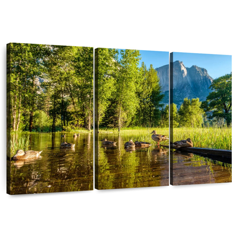 Alvord Flooded Meadow Boardwalk, 48" H x 74" W