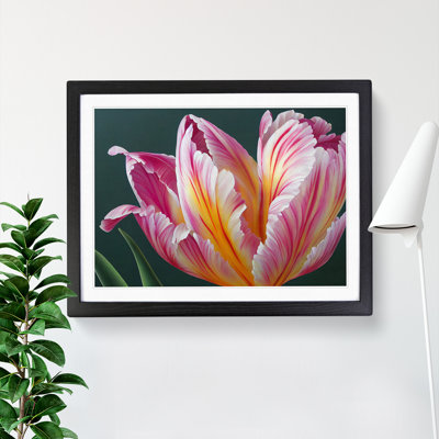 Heavenly Flower - Single Picture Frame Print