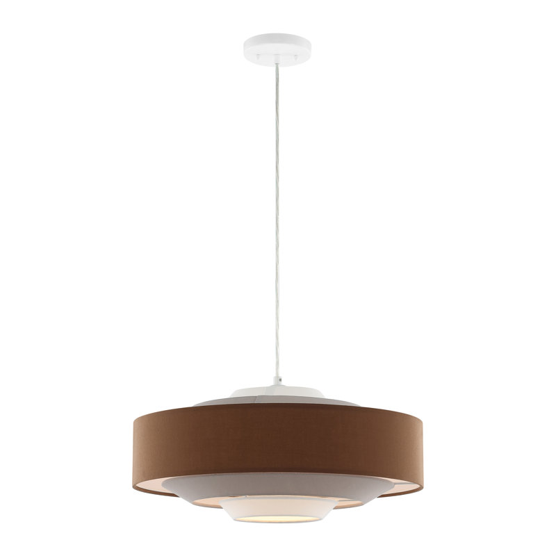 Luminaire suspendu extensible 20 po Bisi