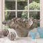 Meteor Decorative Bowl-20601451-20601452