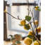 Tige artificielle de pomme de poire rustique-37246786