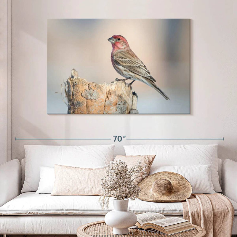 Oiseau pinson Crowle House