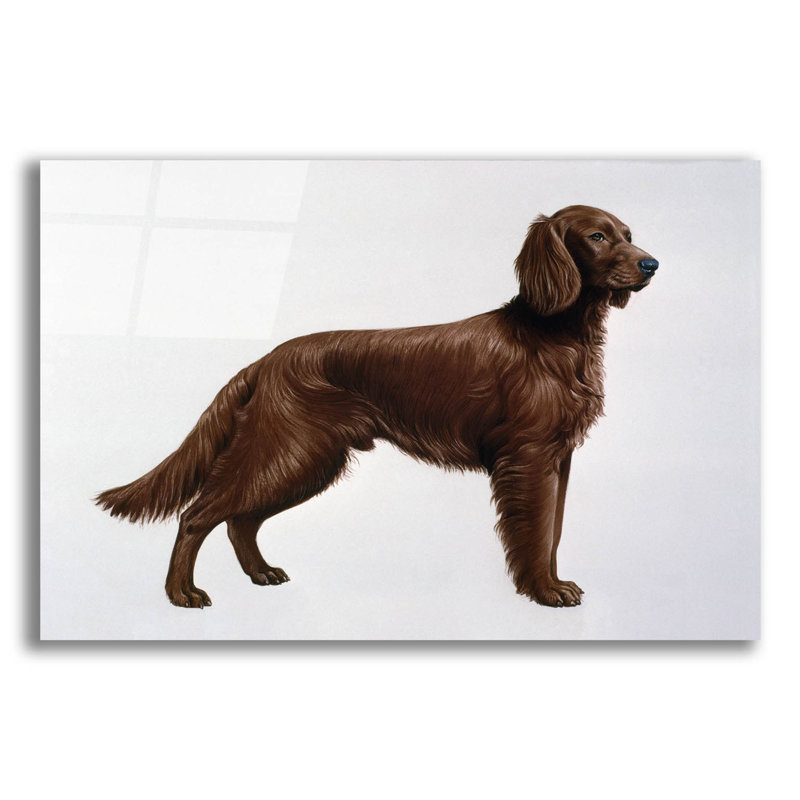 Red Barrel Studio® «Irish Setters» par Harro Maass, art mural en verre acrylique, H 16 po x l 24 po x P 0,2 po