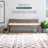 Donner Cane Back Cushioned Bench-1569490981