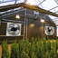 Ventilateur mural 7,88 po Wenty