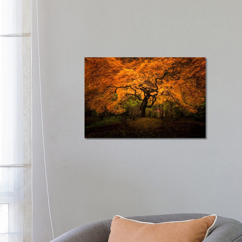 Splendor, Seattle, Washington 1 Piece Wrapped Canvas Wall Art, 66.04 cm H x 45.72 cm W x 1.91 cm D