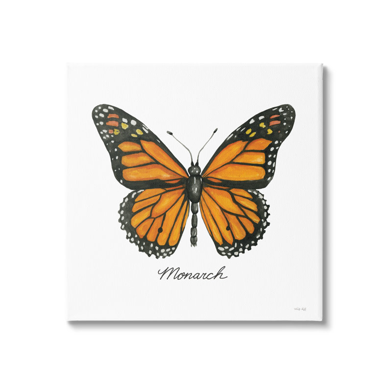 "Monarque papillon", art mural sur toile, conception d'insectes sauvages par Cindy Jacobs, H 17 po x l 17 po x P 1,5 po