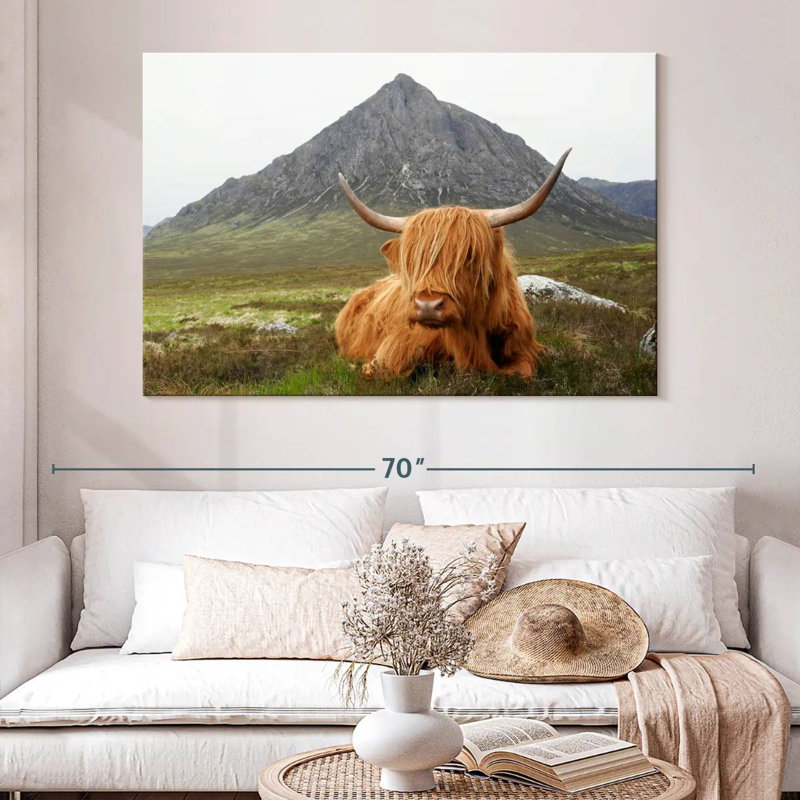 Vache sereine Brampt Highland, H 34 po x l 51 po