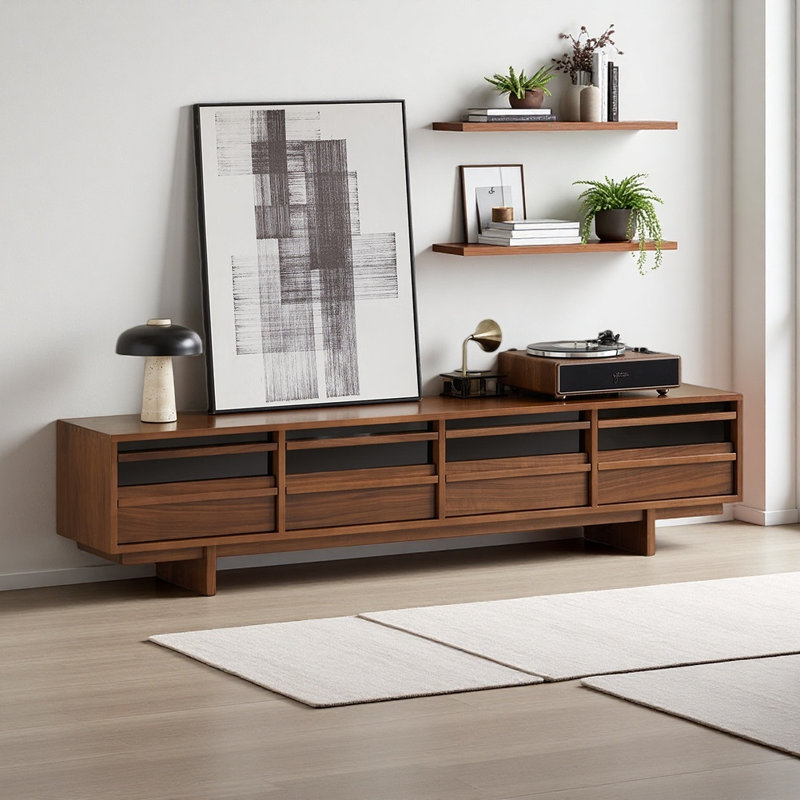 Meuble télé moderne et simple avec rangement
