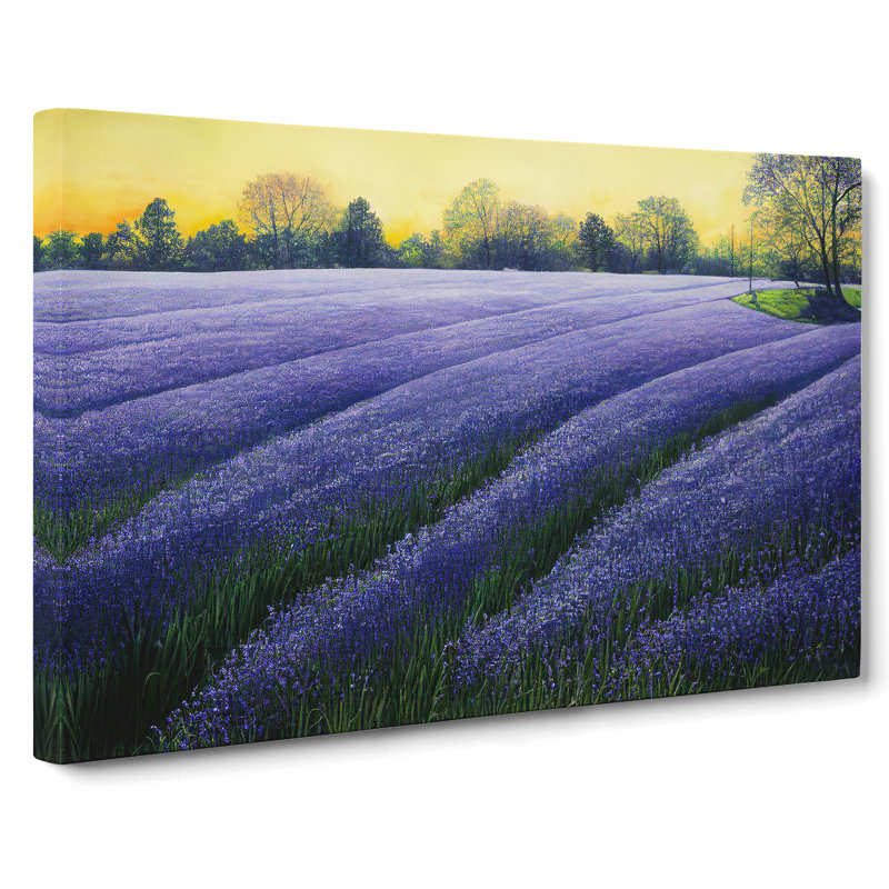 Glorious Bluebell Field - Wrapped Canvas, 35cm H x 50cm W x 3cm D