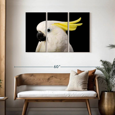 Brampt Sulfur Crested Cockatoo Head