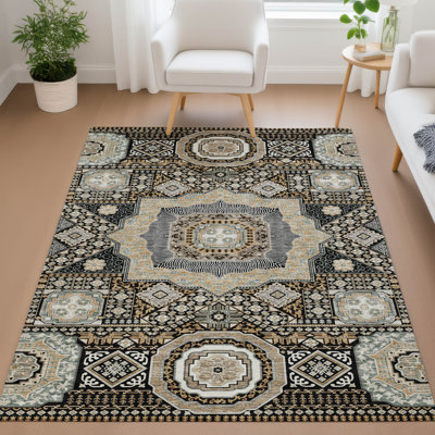 Machine Washable Indoor/Outdoor Chantille ACN2525 Traditional Rug