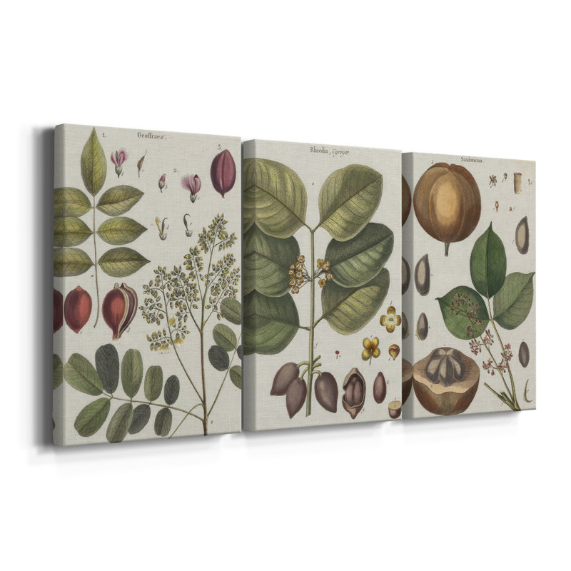 Exotic Botanique I - Toile tendue avec châssis sur mesure - 3 pièces, H 48 po x l 96 po