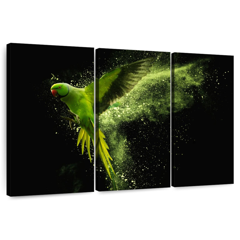 Brampt Alexandrine Parakeet, 48" H x 74" W