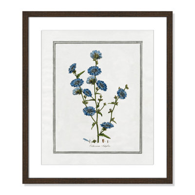 Colombe "Soft Botanical I" Print