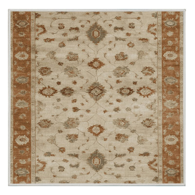 Machine Washable Overdyed Beige Area Rug