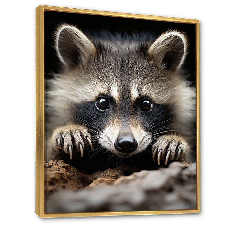 Animal raton laveur - reproduction d'art mural, H 32 po x l 24 po x P 1 po, Cadre flottant doré