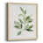 Natural Framed Canvas is unavailable