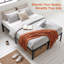 Structure de lit double en acier noir avec rangement sous le lit, sans sommier tapissier-1038563772