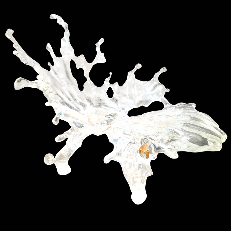 Water Splash