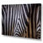 Structure noire et blanche de peau de zèbre - reproduction sur toile-67347945-67347936