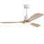 Ceiling Fan with LED Lights