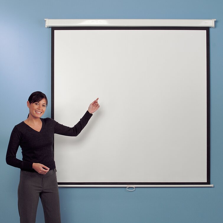 White Manual Projection Screen