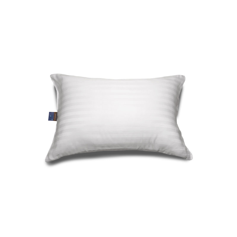 Protecteur d'oreiller en polyester Perfect Choice, Grand