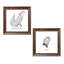 « color the forest adventure & play », ensemble de 2 reproductions d’art-32410830-32256904