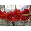 Driftwood Cymbidium Orchids Centerpiece in Glass Planter-1216674884-1216674882