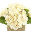Arrangement floral d'hortensias d'automne Carytown-520612865