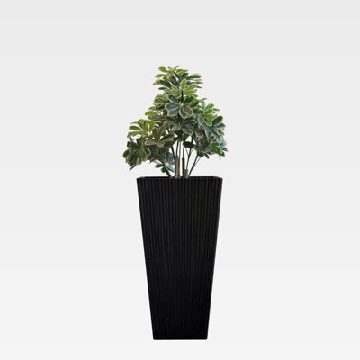 Pot Planter