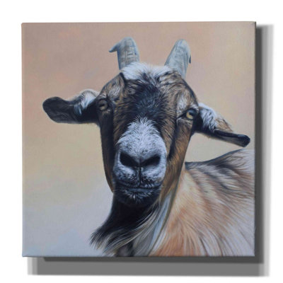 «Rosie» par Sam Dolman - reproduction d'art sur toile tendue