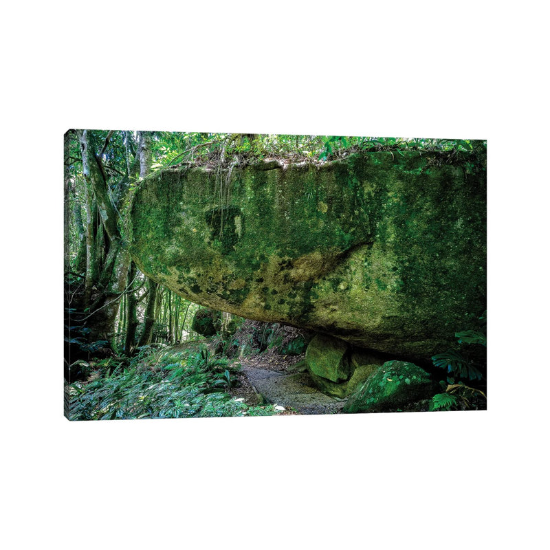 Tropical Forest X 1 Piece Wrapped Canvas Wall Art, 20.32cm H x 30.48cm W x 1.9cm D