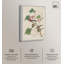 Reproduction d'art, reproduction sur toile, paruline 1829-111155698-111155697