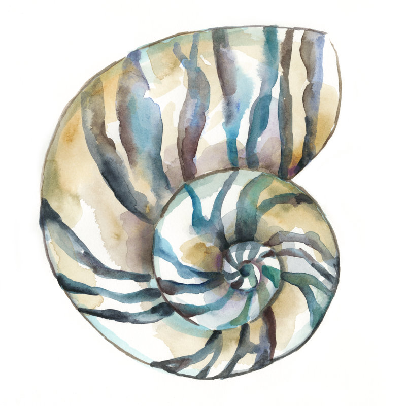 «Aquarelle Shells II», peinture sur toile, H 36 po x l 36 po, Toile tendue