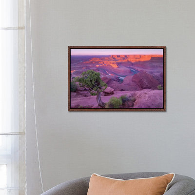 Colorado River Flowing Through Canyons Of Dead Horse Point State Park, Utah 1 Piece Wall Art on Canvas