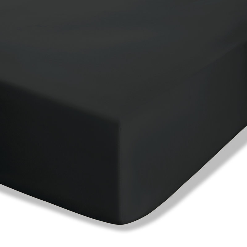 Easy Iron Percale Fitted Sheet, Double (4'6), Black