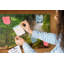 Anglique Cork Corkboard / Bulletin Board