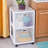 Ultra Portable 2 Drawer Rolling Storage Chest