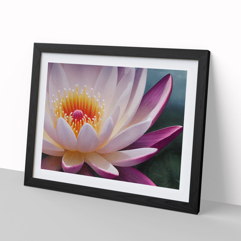 Cheerful Water Lily Flower - Single Picture Frame Print, Black, 34cm H x 46cm W x 2cm D