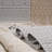 2x8 Indoor/outdoor White Area Rug - Stain , Non-shedding, Indoor In For A Clean Look-190892984