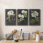 «Dramatic White Flowers I», ensemble de 3 impressions sur toile tendue-77262281
