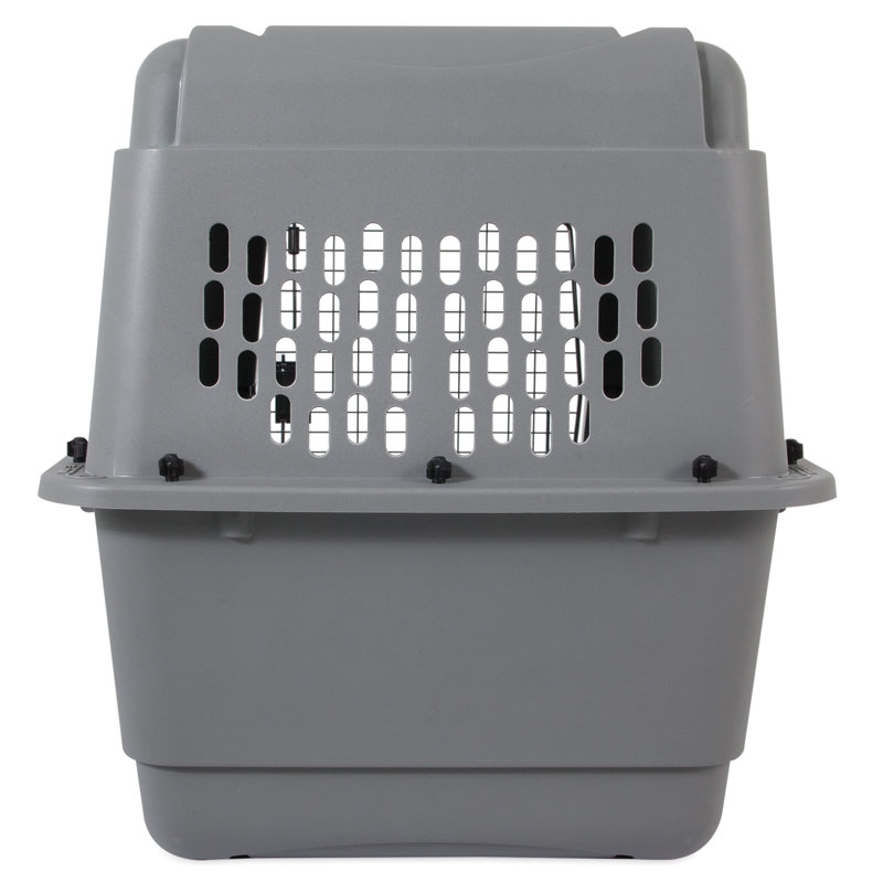 Gray Airline Approved Plastic Pet Carrier with Wire Door