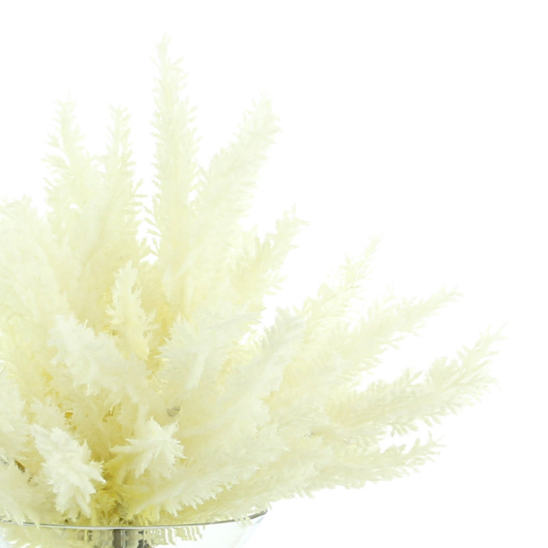 Arrangement floral Pampas dans un vase, Crème, H 14 po x l 15 po x P 15 po