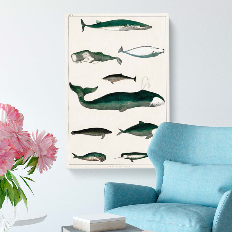 Various Whales XXX by Oliver Goldsmith - Wrapped Canvas, 50cm H x 35cm W x 3cm D