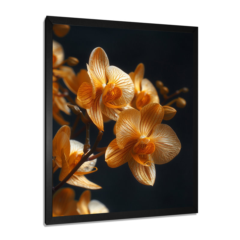 Orchidées noires parfumées Fusion III - art mural Orchidées, Cadre simple noir, H 34 po x l 44 po