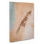 Shipwreck Beach In Australia - Wrapped Canvas-55318314