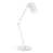 White is out of stock selected